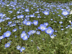 ６月8日土曜日ありがとうございました♪