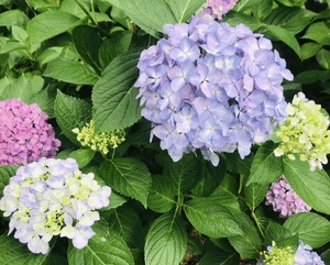 6月25日火曜日ありがとうございました♪