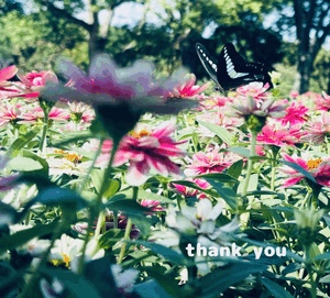 10月16日水曜日ありがとうございました♪