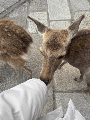 顎のせ♡