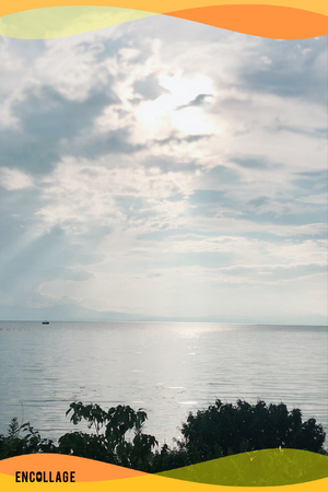 ありがとう