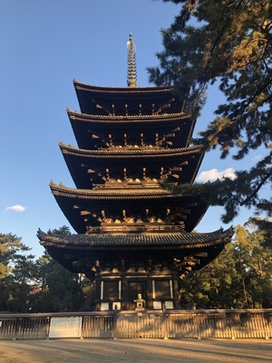 ありがとう