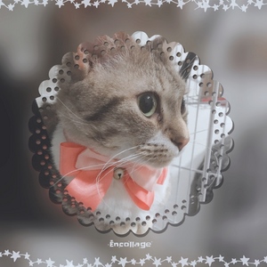 ありがとう