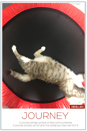 出勤だよー