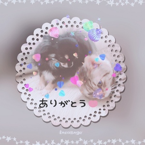 ありがとう