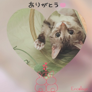 ありがとう