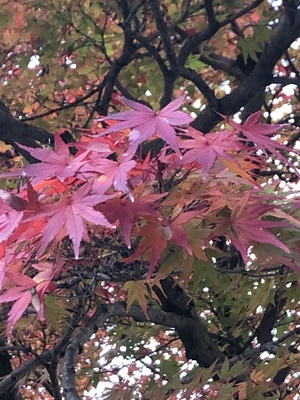 寒くても心はポカポカ