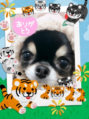 ありがとう
