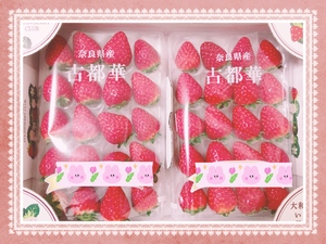 好物