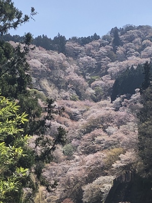 ありがとう