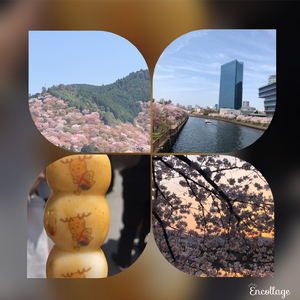 ありがとう