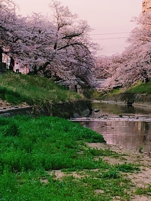 ありがとう☆