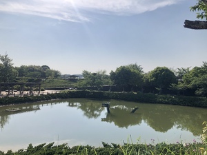 ありがとう☆