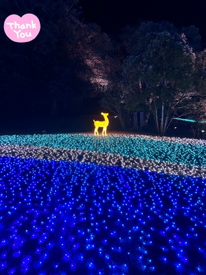 ありがとう☆