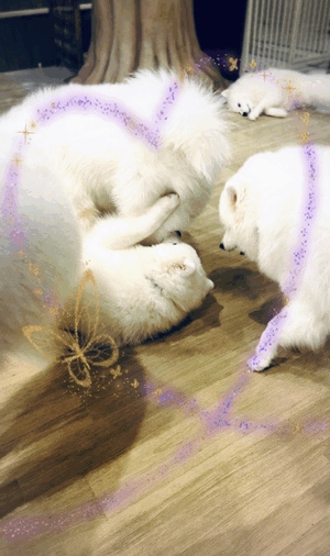 出勤☆