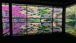 ありがとう