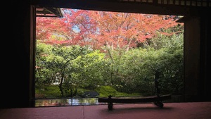 ありがとう
