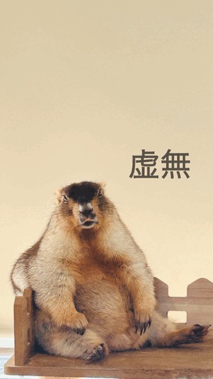 ふうか