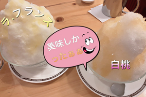 夏先取り