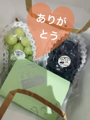 楽しい時間