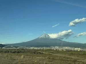 東の都です♡