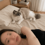 もこ