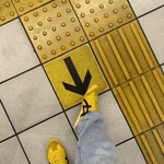 もこ