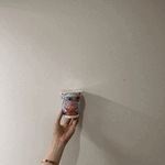 もこ