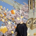 もこ