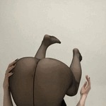 もこ