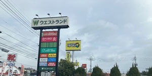 もこ