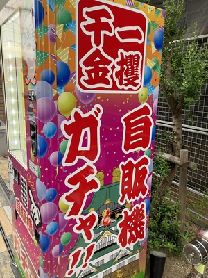 もこ