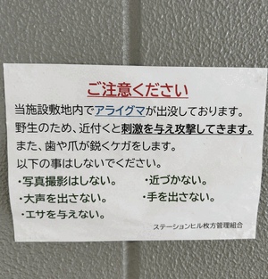 もこ