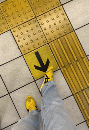 もこ