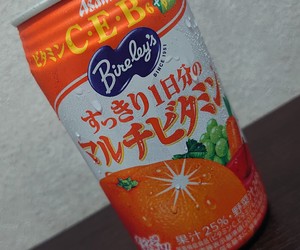 小説