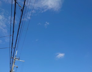 急ですが
