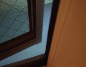 窓