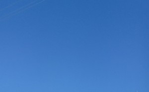 青い