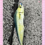 明日ーなみ