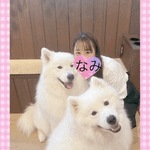 ありがとうーなみ