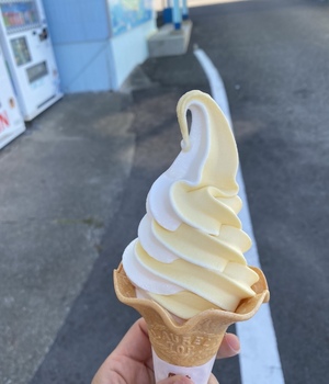 おはよう