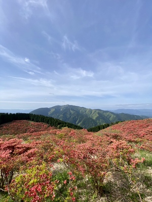 5月初