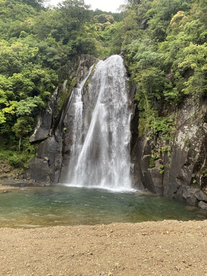 こんにちはっ