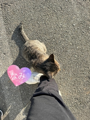 明日