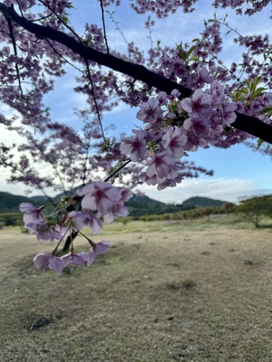 あした