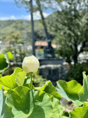 あした♡なみ