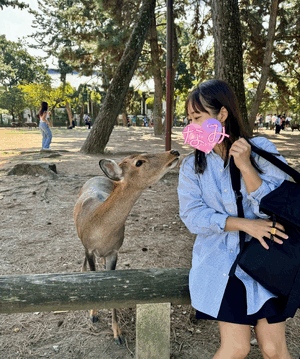 なみ