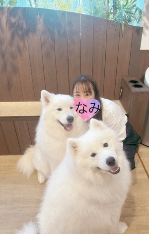 今日もーなみ