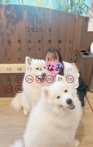 なみ