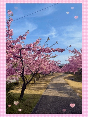 2月もーなみ